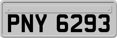 PNY6293