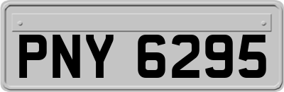 PNY6295