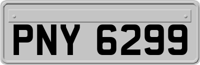 PNY6299