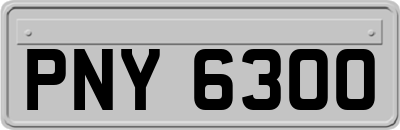 PNY6300