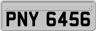 PNY6456