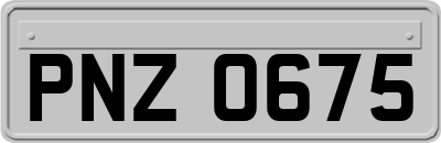 PNZ0675