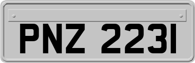 PNZ2231