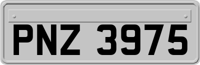 PNZ3975