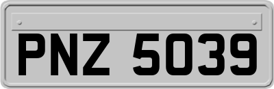 PNZ5039