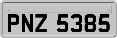 PNZ5385