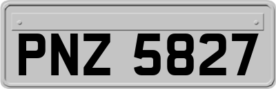 PNZ5827