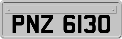 PNZ6130
