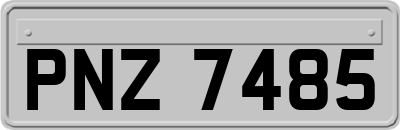 PNZ7485