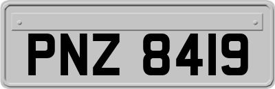 PNZ8419