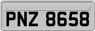 PNZ8658