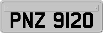 PNZ9120