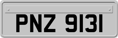 PNZ9131