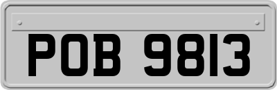 POB9813