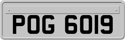 POG6019