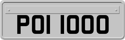POI1000