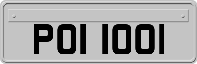 POI1001