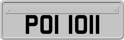 POI1011