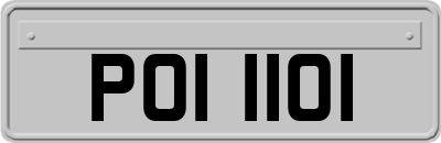 POI1101
