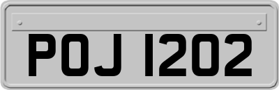POJ1202