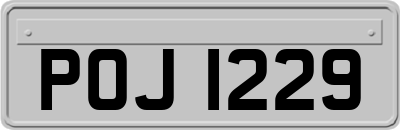 POJ1229