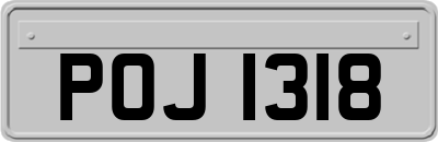 POJ1318