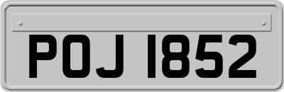 POJ1852