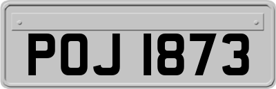 POJ1873