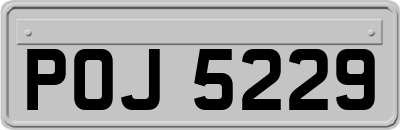 POJ5229