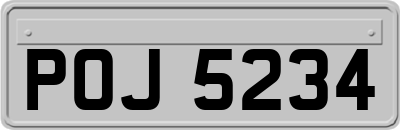 POJ5234