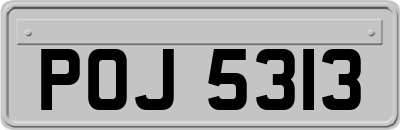 POJ5313