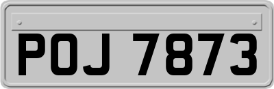 POJ7873