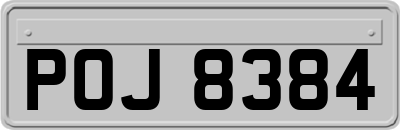 POJ8384