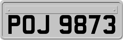 POJ9873