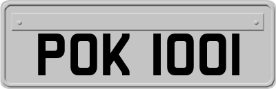POK1001