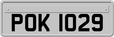 POK1029