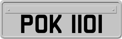 POK1101