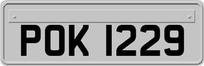 POK1229