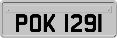 POK1291
