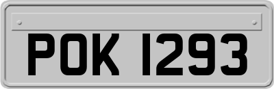 POK1293