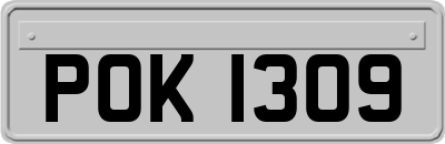 POK1309