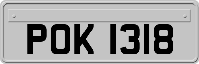 POK1318