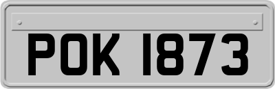 POK1873