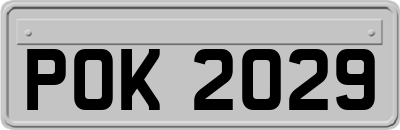 POK2029