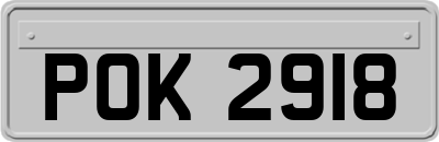 POK2918