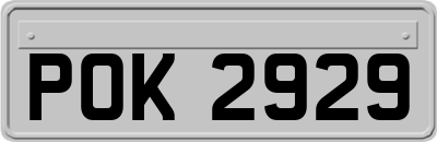 POK2929