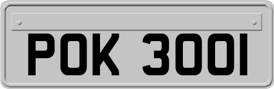 POK3001