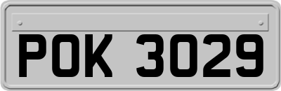 POK3029