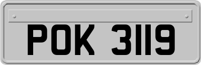 POK3119