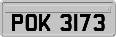 POK3173